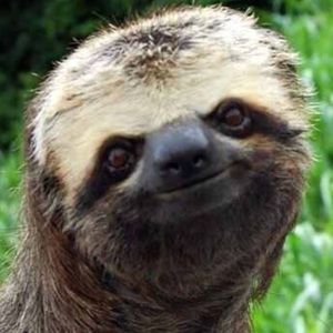 Meet your Posher, Brian